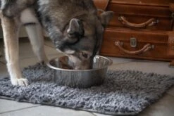 Royal Dry Absorberende Anti-knoeimat Voor Honden – Trekt Vuil Als Een Spons – Laat Geen Vocht Door – 61x45 Cm – Microfiber Chenille – Geschikt Voor Honden En Overige Huisdieren -Honden Benodigdheden Verkoop 1200x800 79