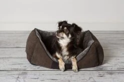 Hondenmand Zacht En Stevig, Anti-Slip En Wasbaar - Scruffs Chester Box Bed - In Grijs En Bruin In Maat S Tot XL - Kleur: Grijs, Maat: Extra Large -Honden Benodigdheden Verkoop 1200x800 80