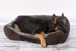 Hondenmand Zacht En Stevig, Anti-Slip En Wasbaar - Scruffs Chester Box Bed - In Grijs En Bruin In Maat S Tot XL - Kleur: Grijs, Maat: Extra Large -Honden Benodigdheden Verkoop 1200x800 82