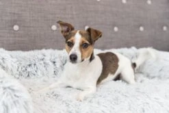 Trixie Sofa Bed Harvey Meubelbeschermer Hoekig Wit / Zwart - 70X90 CM -Honden Benodigdheden Verkoop 1200x800 92