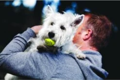 Kong Squeakair Ball - Hondenspeelgoed - 6 St -Honden Benodigdheden Verkoop 1200x802 14