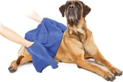 Duvo+ Hondenhanddoek 70 X 100 Cm 11 Duvo+ Hondenhanddoek 70 X 100 Cm -Honden Benodigdheden Verkoop 1200x808