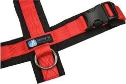 Annyx Hondentuig Harnas Zwart Rood - Y Model - Maat S Is Geschikt Voor Borstomvang 52-64cm. -Honden Benodigdheden Verkoop 1200x808 7