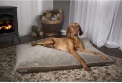 Scruffs Chateau - Hondenbed Orthopedisch Met Memory Foam Voor Extra Steun Voor Rug En Gewrichten - Grijs & Bruin Maat M/L - Kleur: Grijs, Maat: Large -Honden Benodigdheden Verkoop 1200x811 6