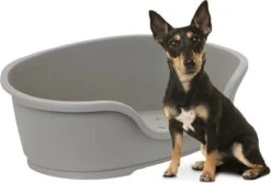 Flamingo - Hondenmand Domus - Grijs - M - 70 X 47 X 22 Cm -Honden Benodigdheden Verkoop 1200x813 7