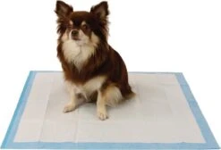 Easypets Puppy Training Pads - Zindelijkheidstraining - Hondentoilet - 58 X 58 Cm - 105 Stuks -Honden Benodigdheden Verkoop 1200x814