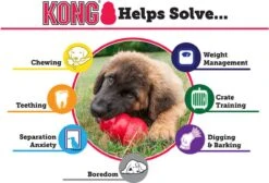 Kong Kauwbot - Hondenspeelgoed - Rood - S -Honden Benodigdheden Verkoop 1200x815 2