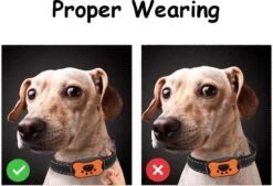 Merkloos Anti Blafband Voor Honden Blafband Anti Blaf Apparaat Blafband Zonder Schok - Diervriendelijk -Honden Benodigdheden Verkoop 1200x822