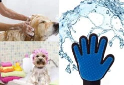 Vacht Verzorgingsborstel Voor Huisdieren - Blauw - LimitedDeals - Voor Honden Katten Konijnen Paarden - Tevens Massage Handschoen Voor Dieren! - Goed Voor De Verzorging Van De Vacht -Honden Benodigdheden Verkoop 1200x825