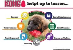 Kong Extreme -Honden Benodigdheden Verkoop 1200x828 25