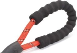 Comfortabele Hondenriem Met Gevoerd Handvat – Stevige Nylon Hondenlijn – Riem Voor Honden -Honden Benodigdheden Verkoop 1200x832 2