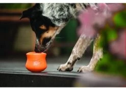 West Paw Toppl Zogoflex - Uitdagend En Sterk Speelgoed Voor Honden - Slowfeeder - Vulbaar Met Voer Of Snacks - Kleur: Groen, Maat: Large -Honden Benodigdheden Verkoop 1200x834 7