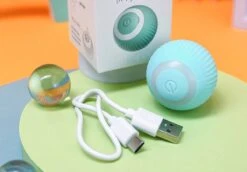 Merkloos Interactive Bal Voor Katten - Zelf Rollende Bal Voor Katten - Elektrisch Kattenspeeltje - Usb Oplaadbaar - Zelf Rollend Interactief Kattenspeeltje - Huisdieren Speeltjes - Cadeau Dierenliefhebbers 15 Merkloos Interactive Bal Voor Katten - Zelf Rollende Bal Voor Katten - Elektrisch Kattenspeeltje - Usb Oplaadbaar - Zelf Rollend Interactief Kattenspeeltje - Huisdieren Speeltjes - Cadeau Dierenliefhebbers -Honden Benodigdheden Verkoop 1200x835 5