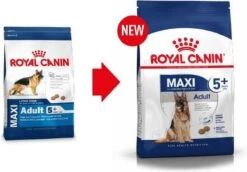 Royal Canin Maxi Adult 5+ Jaar Oud - Hondenvoer - 15 Kg -Honden Benodigdheden Verkoop 1200x837