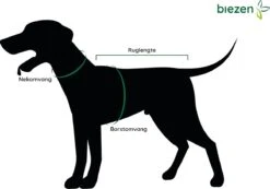 Julius K9 Julius-K9 IDC®Powertuig, XS - Mini-Mini, Camouflage -Honden Benodigdheden Verkoop 1200x842 4