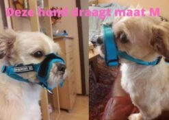 Sharon B Muilkorf Paars Maat M - Fleece - Wasbaar - Reflecterend -Honden Benodigdheden Verkoop 1200x852 3