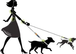 WAW Easy Dog Walk 'schokdemper' Zwart - XL - 25-40 Kg -Honden Benodigdheden Verkoop 1200x852 4