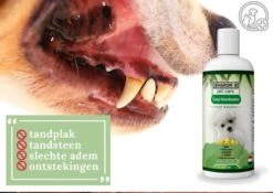 Easy Mondwater Voor Honden - 237 Ml - Tegen Stinkende Adem - Tandplak - Tandsteen - Tandvleesproblemen 16 Easy Mondwater Voor Honden - 237 Ml - Tegen Stinkende Adem - Tandplak - Tandsteen - Tandvleesproblemen -Honden Benodigdheden Verkoop 1200x852 7