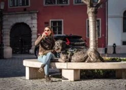 Julius K9 Julius-K9 IDC®Powertuig, 2XL - Maat 3, Zwart -Honden Benodigdheden Verkoop 1200x856 5