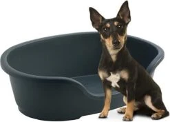 Flamingo - Hondenmand Domus - S - Zwart - 50/58 X 38 X 20 Cm -Honden Benodigdheden Verkoop 1200x861 1