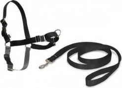 Petsafe Easy Walk® Deluxe Harness - Hondentuigje - Blauw - M - 1,8 M 28 Petsafe Easy Walk® Deluxe Harness - Hondentuigje - Blauw - M - 1,8 M -Honden Benodigdheden Verkoop 1200x863 6