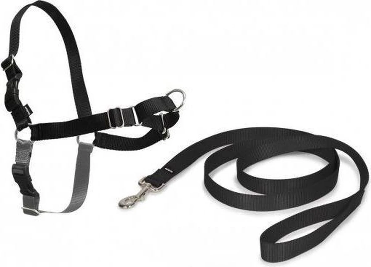 Petsafe Easy Walk® Deluxe Harness - Hondentuigje - Blauw - M - 1,8 M 15 Petsafe Easy Walk® Deluxe Harness - Hondentuigje - Blauw - M - 1,8 M - Afbeelding 13