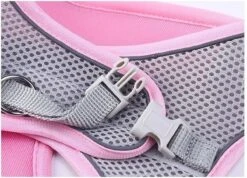 Hondentuigje Voor Kleine Puppy's & Kleine Honden - Blauw - Maat M -Honden Benodigdheden Verkoop 1200x864 10