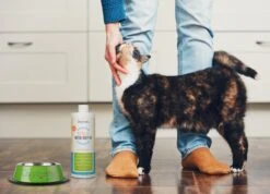 OxyFresh Pet Mondwater Hond En Kat. Helpt Tegen Tandsteen, Plak En Vieze Ademgeurtjes -Honden Benodigdheden Verkoop 1200x864 9