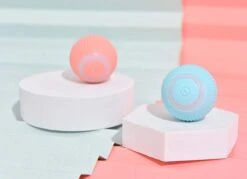 Merkloos Speelbal - Slimme Interactieve Zelfrollende Bal - Kat En Hond Speelgoed - Kattenspeelgoed - BLAUW -Honden Benodigdheden Verkoop 1200x868 4