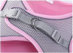 Hondentuigje Voor Kleine Puppy's & Kleine Honden - Blauw - Maat M -Honden Benodigdheden Verkoop 1200x869 3