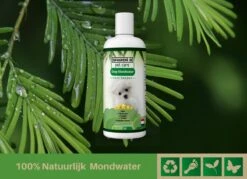 Easy Mondwater Voor Honden - 237 Ml - Tegen Stinkende Adem - Tandplak - Tandsteen - Tandvleesproblemen 11 Easy Mondwater Voor Honden - 237 Ml - Tegen Stinkende Adem - Tandplak - Tandsteen - Tandvleesproblemen -Honden Benodigdheden Verkoop 1200x872 4