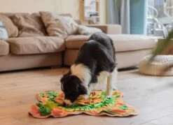 SNUFFIES® Snuffelmat Belle 60x50cm – Snuffelmat – Snuffelmatten - Honden Speelgoed - Honden Speelgoed Intelligentie - Snuffelmat Hond - Snuffelmatten – Hersenwerk – Honden Speeltjes – Puppy - Puppy Speelgoed - Honden Denkspelletjes -Honden Benodigdheden Verkoop 1200x872 5