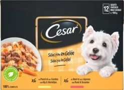 Cesar Selectie In Gelei Maaltijdzakjes Honden Natvoer - Vlees En Groenten In Gelei - 48 X 100g -Honden Benodigdheden Verkoop 1200x874