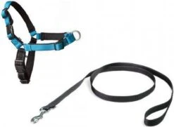 Petsafe Easy Walk® Deluxe Harness - Hondentuigje - Blauw - M - 1,8 M 19 Petsafe Easy Walk® Deluxe Harness - Hondentuigje - Blauw - M - 1,8 M -Honden Benodigdheden Verkoop 1200x880 3