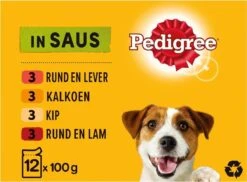 Pedigree Adult Honden Natvoer - Vlees & Gevogelte In Saus - 48 X 100g -Honden Benodigdheden Verkoop 1200x884