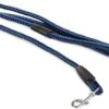 Merkloos Slipriem - Nylon - Riem Voor Hond - Blauw -Honden Benodigdheden Verkoop 1200x884 3