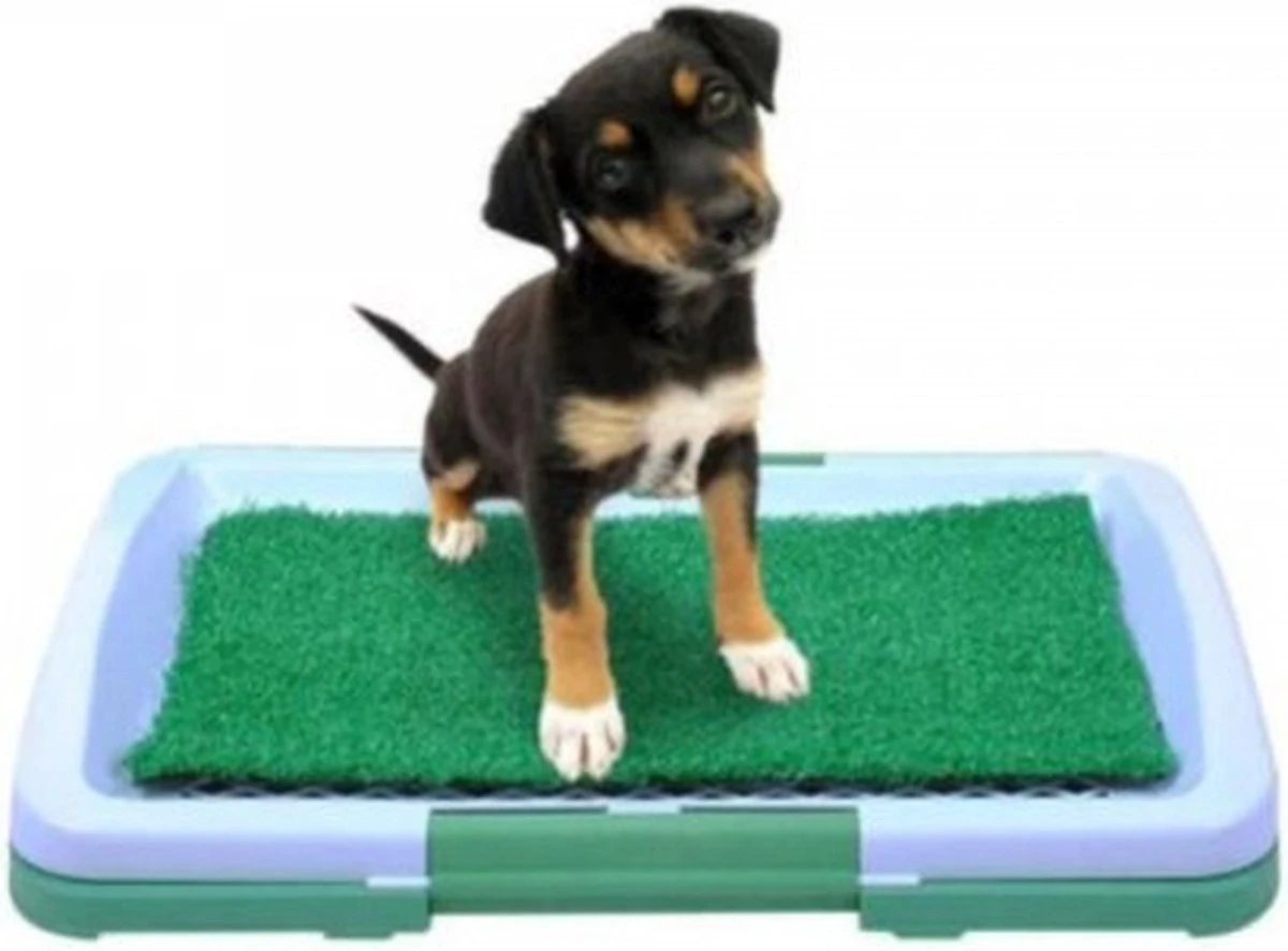 Hondentoilet Kunstgras - 3 Laags - 46 X 33 X 6cm - Puppy Pads - Zindelijkheidstraining Hond - Training Pads Puppy - Hondenmat 3 Hondentoilet Kunstgras - 3 Laags - 46 X 33 X 6cm - Puppy Pads - Zindelijkheidstraining Hond - Training Pads Puppy - Hondenmat