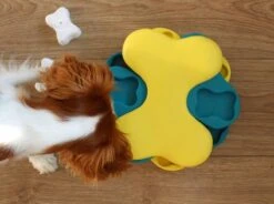 Nina Ottosson Dog Tornado Blu -Honden Benodigdheden Verkoop 1200x895 7