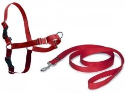 PetSafe Easy Walk® - Hondentuigje - Zwart - L - 66-91 Cm -Honden Benodigdheden Verkoop 1200x896 8