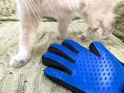 Vacht Verzorgingsborstel Voor Huisdieren - Blauw - LimitedDeals - Voor Honden Katten Konijnen Paarden - Tevens Massage Handschoen Voor Dieren! - Goed Voor De Verzorging Van De Vacht -Honden Benodigdheden Verkoop 1200x897 1