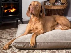 Scruffs Chateau - Hondenbed Orthopedisch Met Memory Foam Voor Extra Steun Voor Rug En Gewrichten - Grijs & Bruin Maat M/L - Kleur: Grijs, Maat: Large -Honden Benodigdheden Verkoop 1200x898 4
