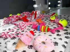 Honden Speelgoed - Puppy Speelgoed - 11 Stuks - Roze - 1 Speeltje Gratis - Honden Knuffel - Trektouw - Honden Speeltjes 12 Honden Speelgoed - Puppy Speelgoed - 11 Stuks - Roze - 1 Speeltje Gratis - Honden Knuffel - Trektouw - Honden Speeltjes -Honden Benodigdheden Verkoop 1200x898 7