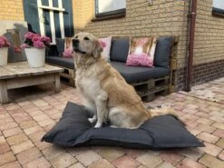 Madison Pets Hondenkussen Panama Grijs - 120 X 80cm -Honden Benodigdheden Verkoop 1200x899 14