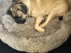 HONDEN RELAX Kussen - Superzacht Fluffy Ronde Mand 100 Cm - Taupe/Zandkleur -Honden Benodigdheden Verkoop 1200x899 19