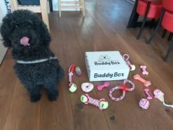 Honden Speelgoed - Puppy Speelgoed - 11 Stuks - Roze - 1 Speeltje Gratis - Honden Knuffel - Trektouw - Honden Speeltjes 11 Honden Speelgoed - Puppy Speelgoed - 11 Stuks - Roze - 1 Speeltje Gratis - Honden Knuffel - Trektouw - Honden Speeltjes -Honden Benodigdheden Verkoop 1200x899 26