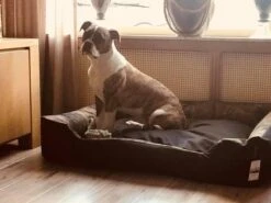 Hondenmand Cordura XXXL – Donkergrijs - 125 X 90 X 24 Cm -Honden Benodigdheden Verkoop 1200x900 24