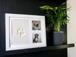 Frummel Fotolijst Met Kleiafdruk - Pootafdruk Hond - Gipsafdruk Huisdier - 22,5 X 27,5 Cm - Wit 10 Frummel Fotolijst Met Kleiafdruk - Pootafdruk Hond - Gipsafdruk Huisdier - 22,5 X 27,5 Cm - Wit -Honden Benodigdheden Verkoop 1200x901 3