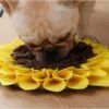 Merkloos Snuffelmat Voor Hond En Kat - Zonnebloem - Trainingsmat - Anti Schrok - 38 Centimeter -Honden Benodigdheden Verkoop 1200x904 9