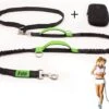 Filo Elastische Hondenriem Groot - Hardlopen En Wandelen - Hardloopriem Hond Handsfree Met Heuptasje - Looplijn Met Heupriem - Canicross Gordel Honden - Riemen - Heupgordel - Leiband -Honden Benodigdheden Verkoop 1200x908 2