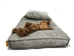 Orthopedisch Hondenkussen Grijs - Hondenmand Ribstof Premium L - Luxe Hondenbed 100x70cm - Grijs Tot 40 KG -Honden Benodigdheden Verkoop 1200x910 4